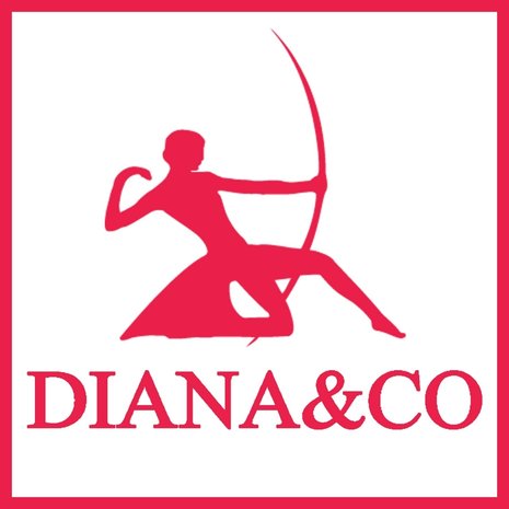 Dames handtasje compact Diana en CO